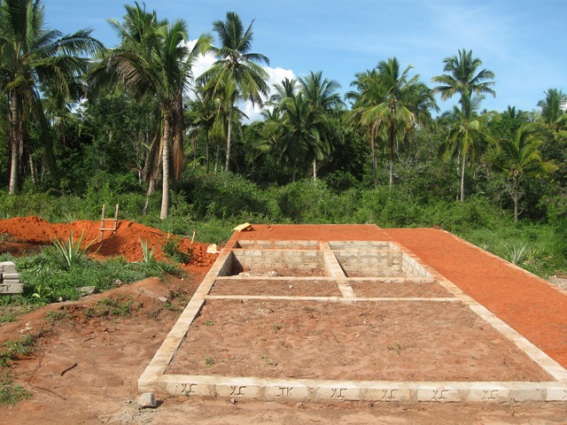 2012_02kiparanganda 8.jpg